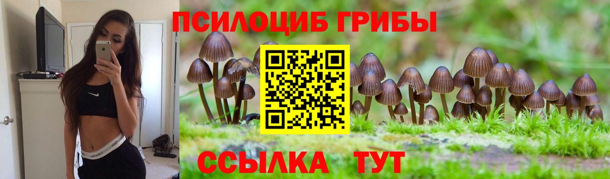 Псилоцибиновые грибы GOLDEN TEACHER Ставрополь